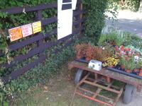 9-Sept 006.JPG